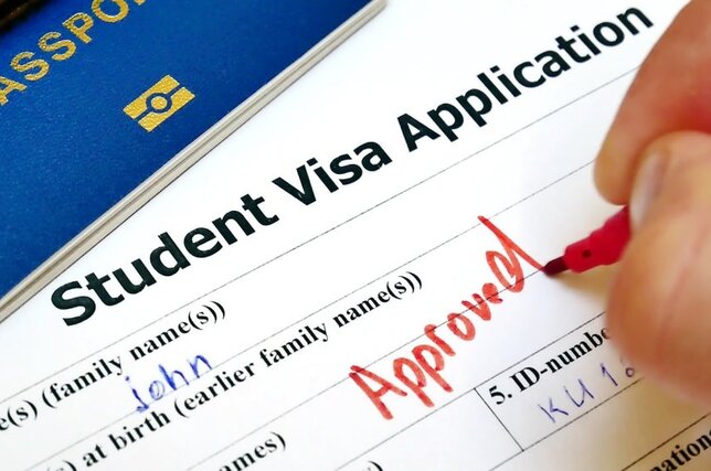 Study Visa Consultation Services