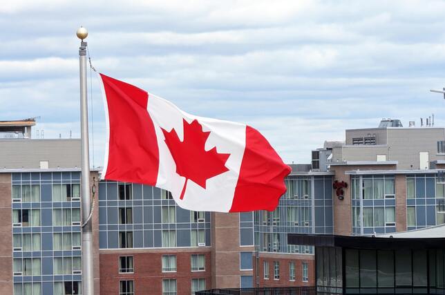Canadian Visa consultation